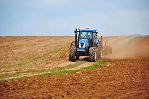 Rolnik a podatek od nieruchomości: Kiedy płacisz, a kiedy masz zwolnienie?